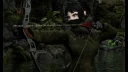 Archery Nexus [RadBows] Upgrade 0