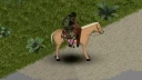 Horse Utility Add-on 6