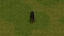 CD: Rottweiler 1
