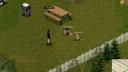 Companion Dogs [ALPHA] 2