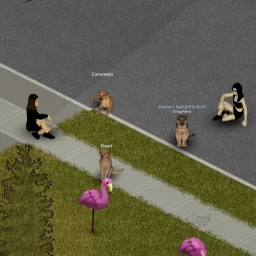 Companion Dogs [ALPHA]