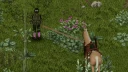 Horse Utility Add-on 8