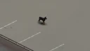 CD: Doberman 1