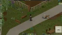 Companion Dogs [ALPHA] 1