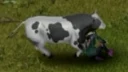 Zombies Target Animals 6