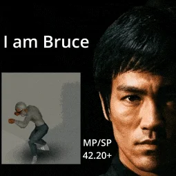I Am Bruce Lee Now