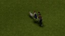 Zombies Target Animals 0