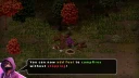 Common Sense 5