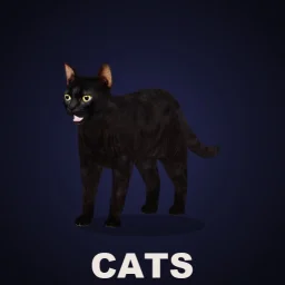CD: Cats