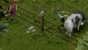Zombies Target Animals 4