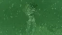 [Ground Panoramic Night Vision Goggles] 1