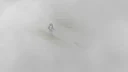 The Fog [B42] [Alpha] 5