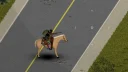 Horse Utility: Mounted Firearms 2